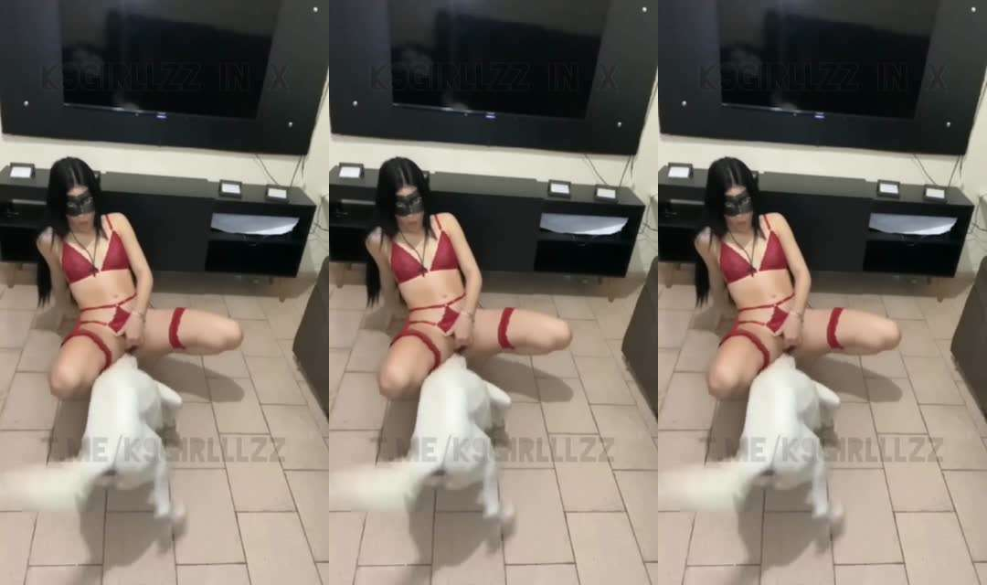 k9系列小白狗狗狗舔逼挑逗人妻骚逼情趣内衣白虎