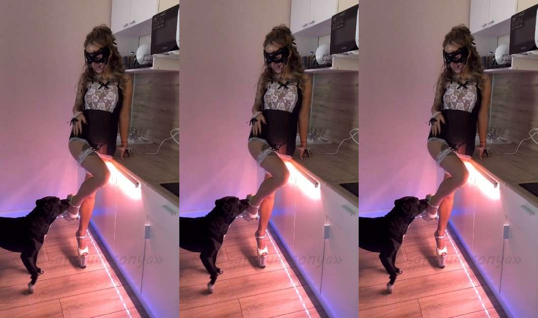 小黑狗内射情趣女主人（更多高质量片子，狗猪马系列需要看主页简介或者私信）肛塞白虎毒龙情趣内衣骚逼人妻挑逗舔逼蝴蝶结狗狗