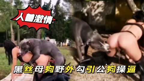 黑丝母狗野外勾引公狗操逼白虎人妻舔逼蝴蝶结狗狗性交